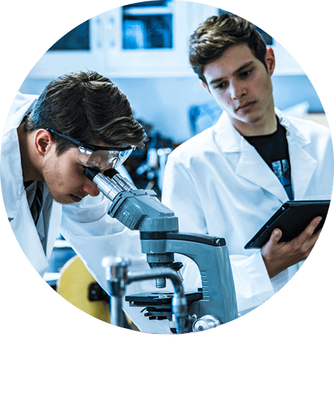 Ocuvist Formel - Heidelbeere + Zeaxanthin Schema
